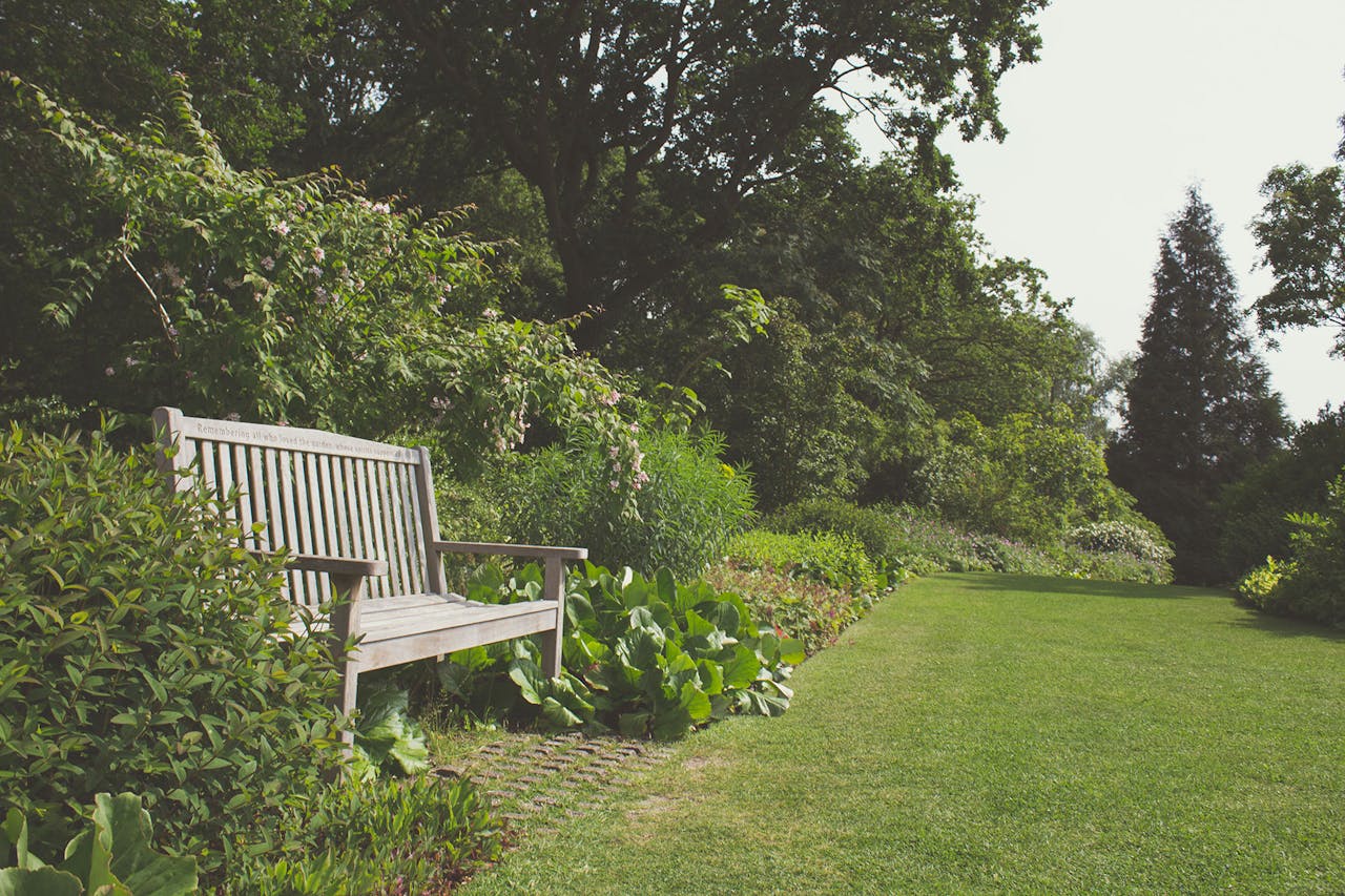 A serene garden scene featuring a wooden bench surrounded by vibrant greenery and trees.